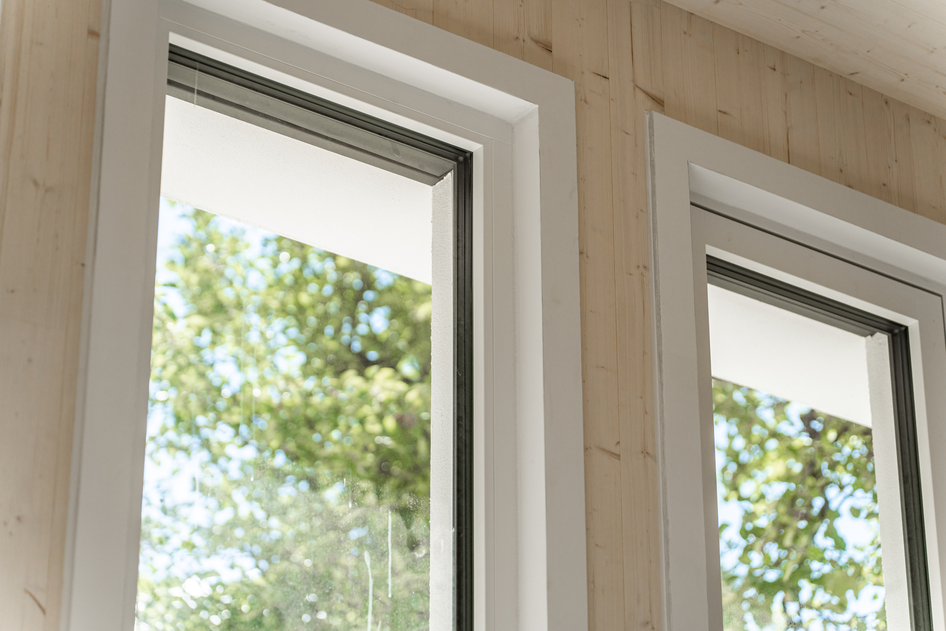 Detail Fenster
