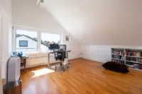 DG